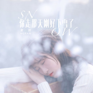 ดาวน์โหลดและฟังเพลง 你走那天刚好下雪了 พร้อมเนื้อเพลงจาก 茉然