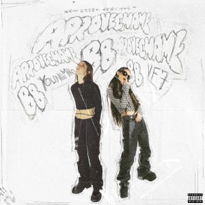 ดาวน์โหลดและฟังเพลง Aprovechame BB (Explicit) พร้อมเนื้อเพลงจาก vf7