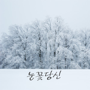 อัลบัม Snow Flower ศิลปิน 대니황 (Danny Hwang)