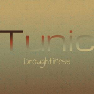 Various的专辑Tunic Droughtiness