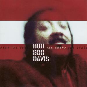 ดาวน์โหลดและฟังเพลง Mountain Top พร้อมเนื้อเพลงจาก Boo Boo Davis