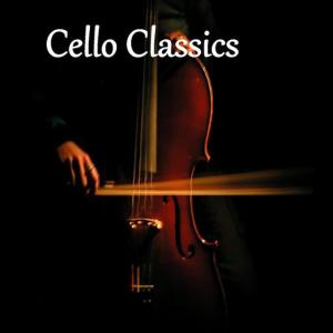 ดาวน์โหลดและฟังเพลง Allegro appassionato, Op. 43 พร้อมเนื้อเพลงจาก 保罗·托特利埃