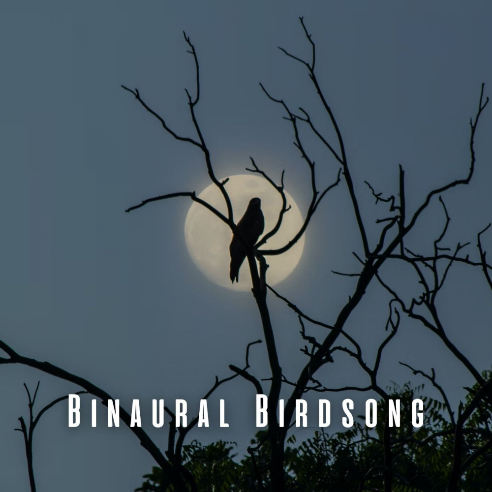 Soothing Binaural Birds
