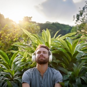 ดาวน์โหลดและฟังเพลง La Calma En Una Tarde Tranquila พร้อมเนื้อเพลงจาก Sonidos relajantes marrones calmantes