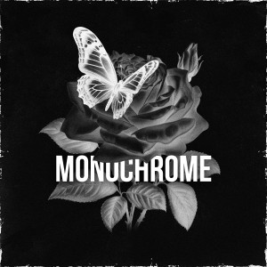 Album Monochrome from Jany Green