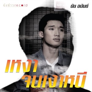 อัลบัม เหงาจนเงาหนี - Single ศิลปิน นัน อนันต์