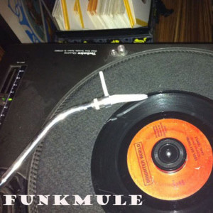Funkmule的專輯True Funk