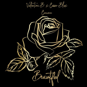 Album Beautiful oleh Casso blax