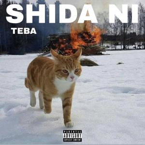 Listen to Shida Ni song with lyrics from Teba