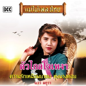 ดาวน์โหลดและฟังเพลง แฟนใคร พร้อมเนื้อเพลงจาก แวว มยุรา