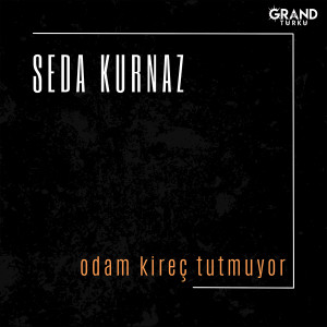 Album Odam Kireç Tutmuyor from 