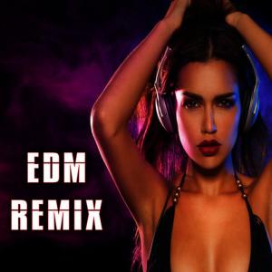 DJ Brian的專輯EDM Remix