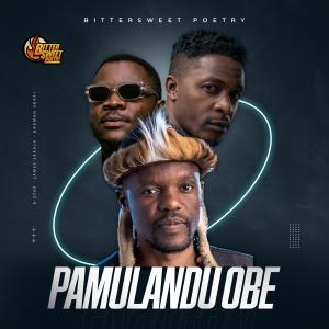 收聽K-Star的Pamulandu Obe (feat. James Sakala & Badman Shapi)歌詞歌曲