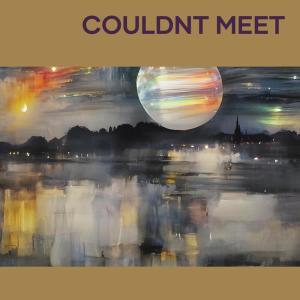 Album Couldnt Meet from Soundwave