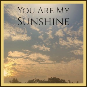 Listen to You Are My Sunshine song with lyrics from Tina Turner