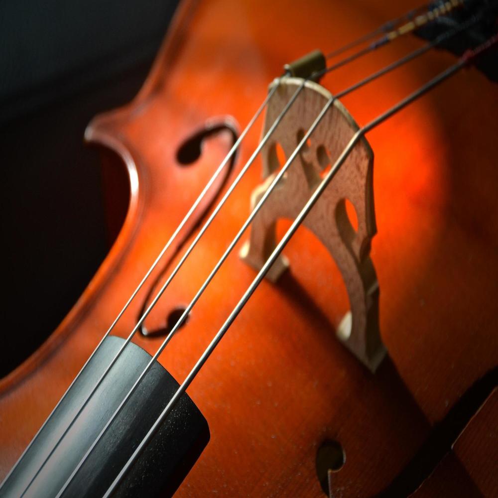 Hello, Cello!