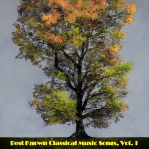 อัลบัม Best known classical music songs, Vol. 1 (Explicit) ศิลปิน Karl Münchinger