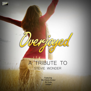 ดาวน์โหลดและฟังเพลง Overjoyed พร้อมเนื้อเพลงจาก Ameritz Tribute Club