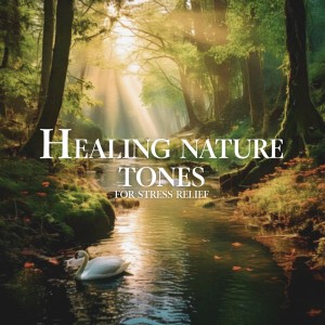 Listen to Effortless Focus (Ocean Wave) song with lyrics from Nature Sounds For Focus