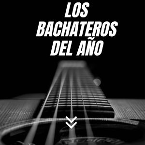 Listen to Quien te ama como yo song with lyrics from adolyng el ultimo mayimbe