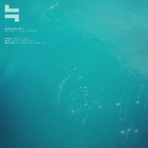 Listen to We Don't Talk Anymore song with lyrics from Biscaine Bay