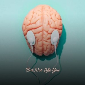 Listen to But Not Like You song with lyrics from The Platters