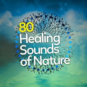 收聽The Mother Nature Experience的Sleep at the Water's Edge歌詞歌曲