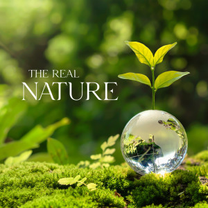 อัลบัม The Real Nature (Sounds of the Everyday Life, Healing Yoga Meditation Music) ศิลปิน Real Nature Area