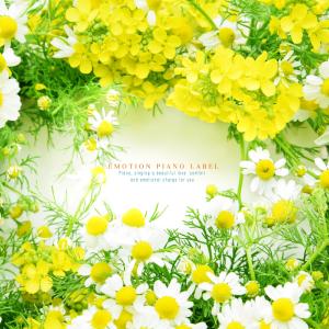 收听Herrios的A voice of a star歌词歌曲