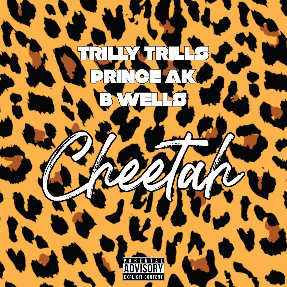Cheetah (feat. B Wells) (Radio Edit)