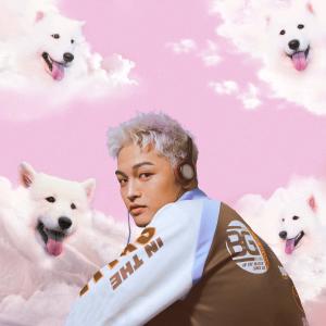 Listen to 需要你 (Top Dog) song with lyrics from Nauledge Huang
