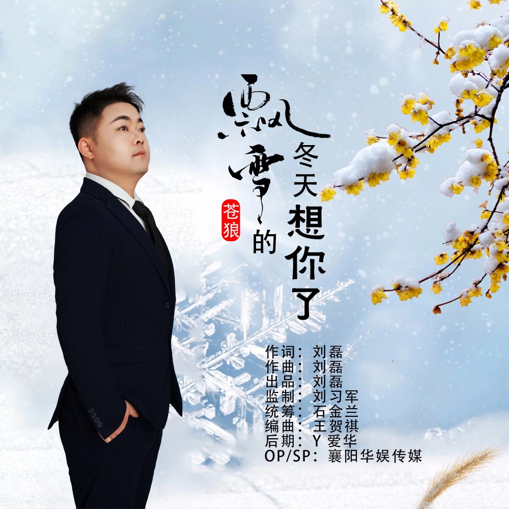 飘雪的冬天想你了（DJ版） (伴奏)