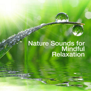 ดาวน์โหลดและฟังเพลง Waterside Rest พร้อมเนื้อเพลงจาก Relaxing and Healing Sounds of Nature