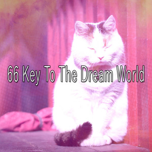 Dengarkan Best to Rest lagu dari Relajacion Del Mar dengan lirik