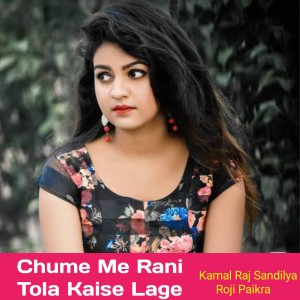 ดาวน์โหลดและฟังเพลง Chume Me Rani Tola Kaise Lage พร้อมเนื้อเพลงจาก Kamal Raj Sandilya