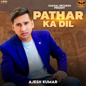 Album Pathar Ka Dil from Ajesh Kumar