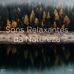 Listen to Sleep Meditation Instrumental song with lyrics from Yoga
