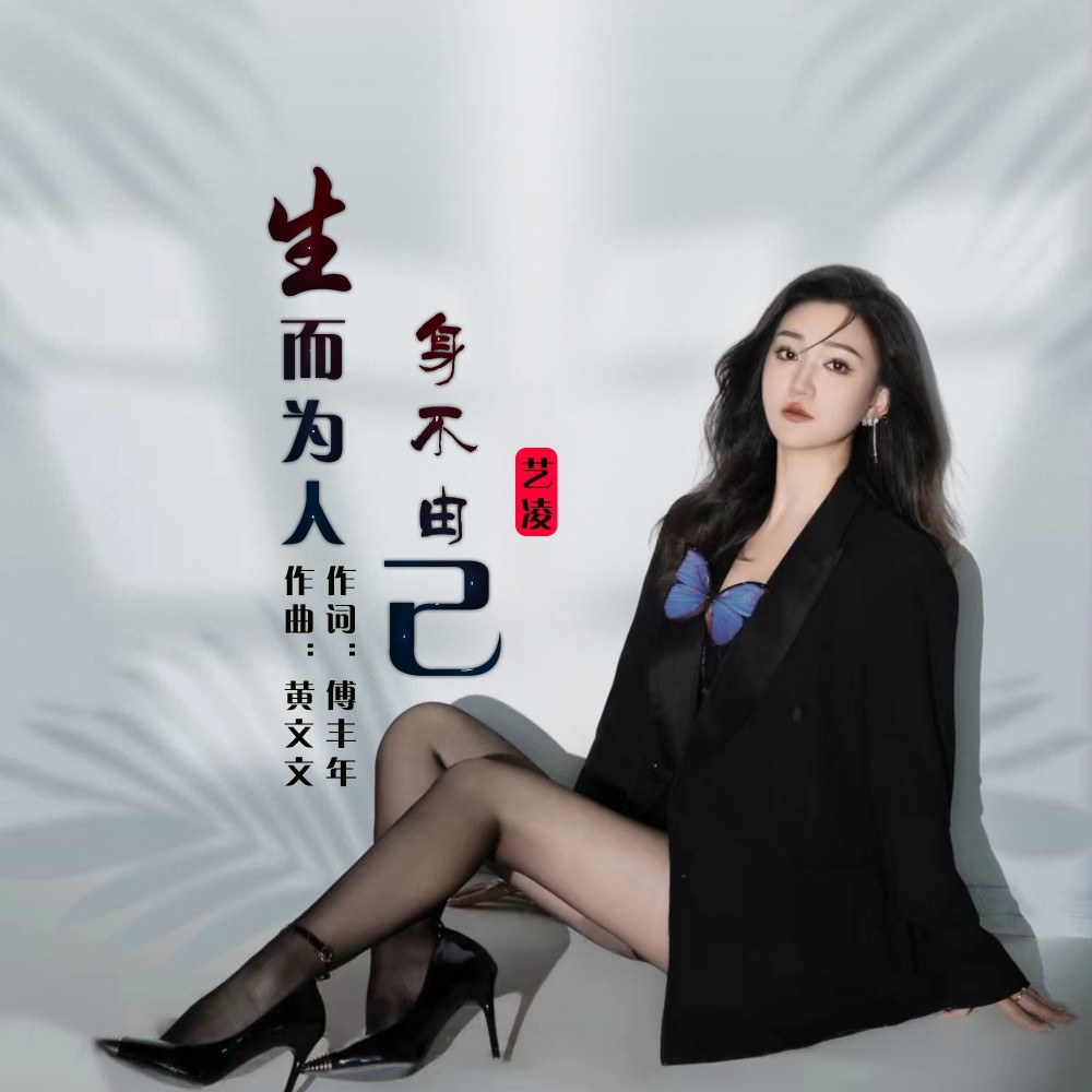 生而为人身不由己 (伴奏)