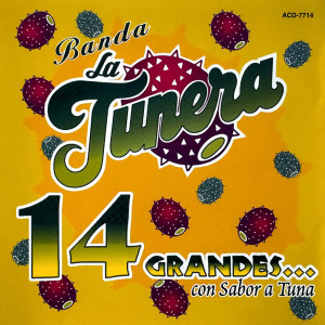 收聽Banda La Tunera的No Necesito Que Sea 10 De Mayo歌詞歌曲