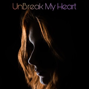 Album Unbreak My Heart from Disco Fever
