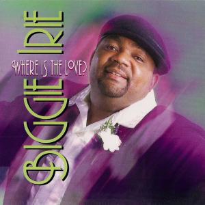 ดาวน์โหลดและฟังเพลง Where Is the Love พร้อมเนื้อเพลงจาก Biggie Irie