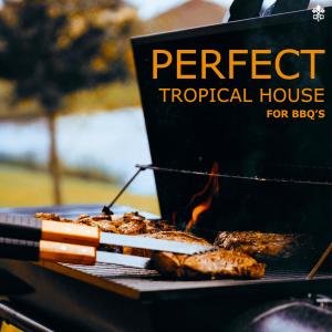 Album Perfect Tropical House For BBQ's from Various