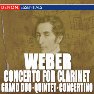 Listen to Concerto for Clarinet No. 2 in E-Flat Major, Op. 74: II. Andante con moto song with lyrics from Alberto Lizzio