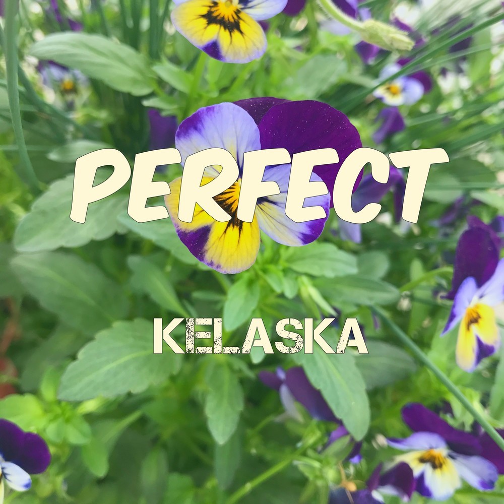 Perfect