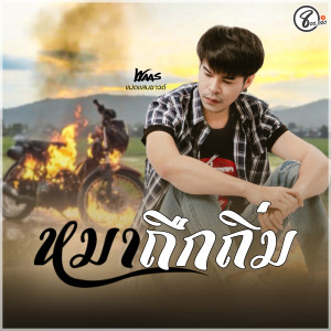 ดาวน์โหลดและฟังเพลง หมาถืกถิ่ม พร้อมเนื้อเพลงจาก วัฒน์ ณวัฒน์ แปดแสนซาวด์
