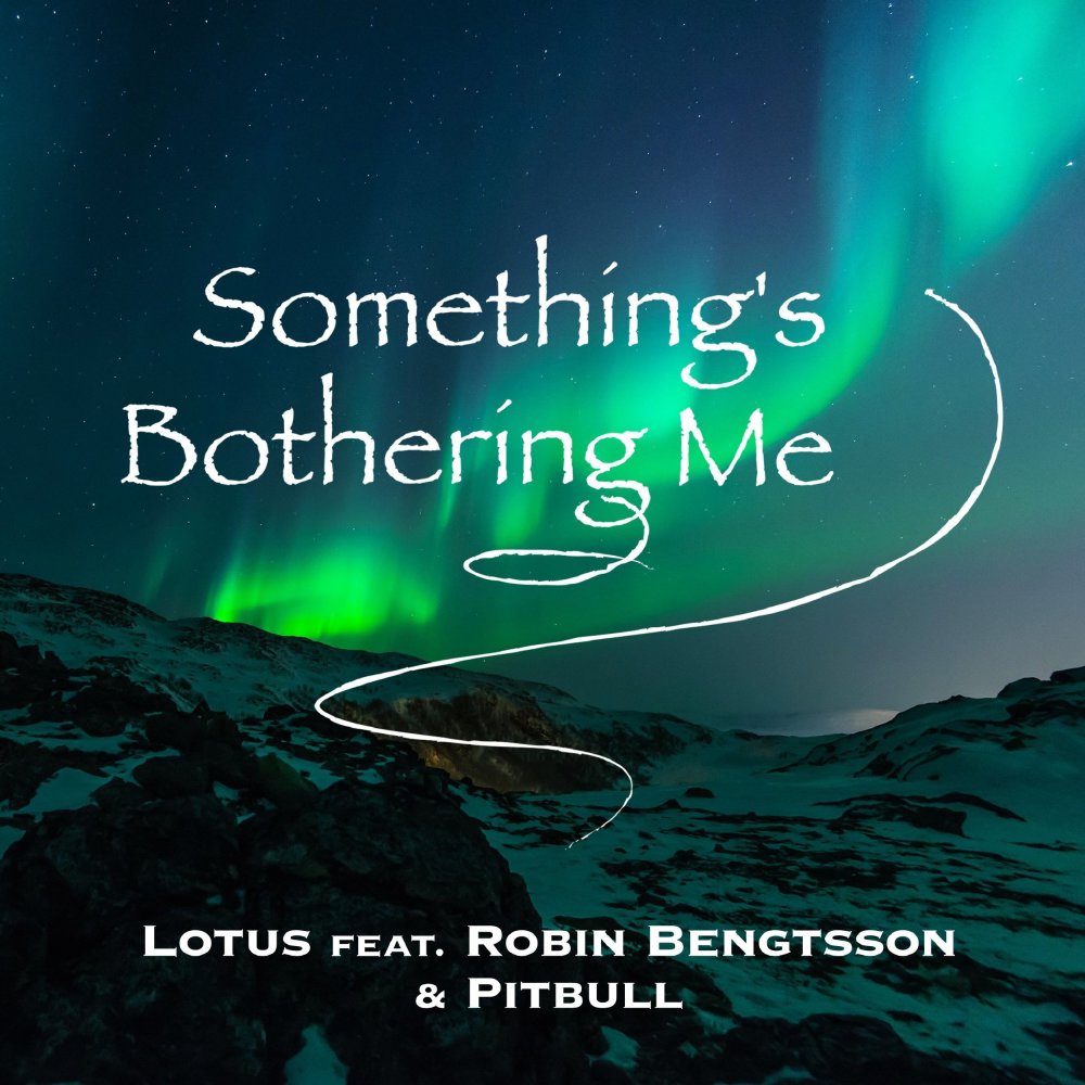 Something's Bothering Me (feat. Robin Bengtsson & Pitbull) (Radio Edit)