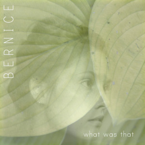 ดาวน์โหลดและฟังเพลง Don't Think About It พร้อมเนื้อเพลงจาก Bernice