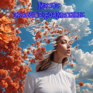 收聽Mr T的Tranceformation歌詞歌曲