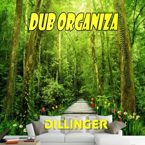 Dub Organiza