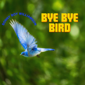 default album img